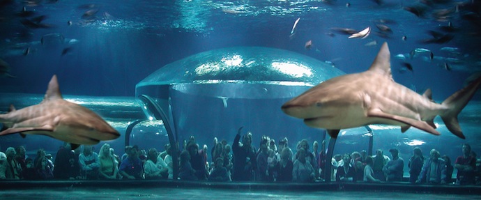 Oklahoma Aquarium