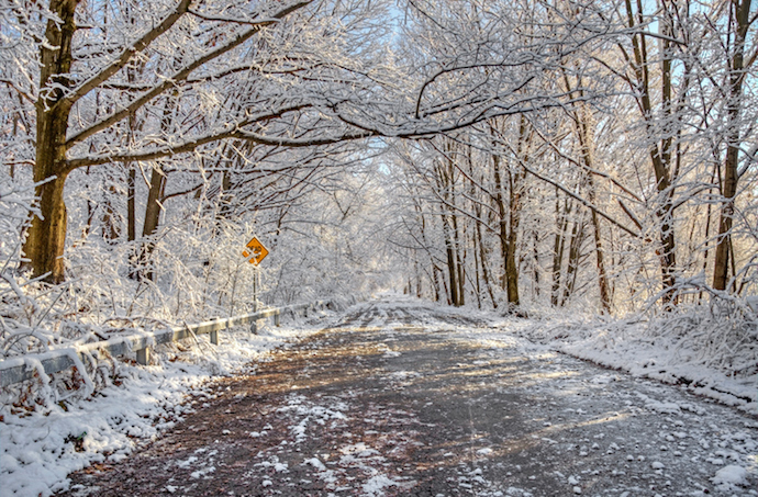 Winter Road